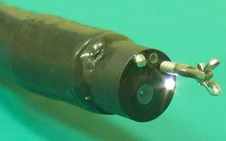 Olympus_Endoscope_2.jpg