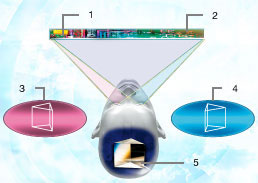 Fuji_3D-digital_viewer_tech.jpg